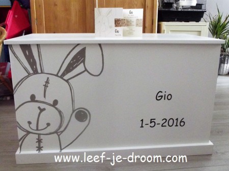 Een individuele persoonlijke speelgoedkist